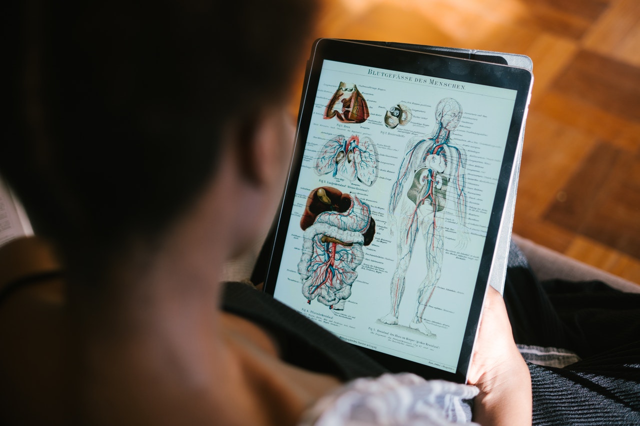 Human body and organs are shown on the tablet